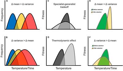 Genetic Constraints, Transcriptome Plasticity, and the Evolutionary Response to Climate Change